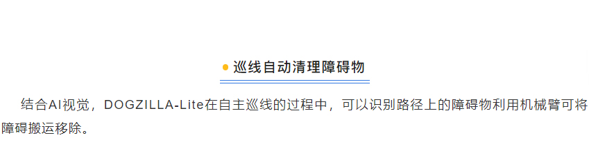 1_17.jpg