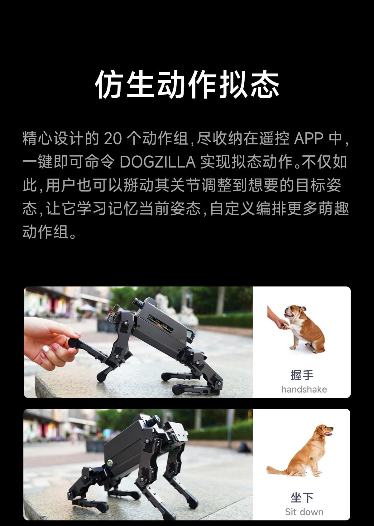 AIロボット犬 ラズベリーパイ5模生四足ロボット犬 Amazon.co.jp | XiaoR GEEK 四足歩行バイオニックロボット犬ラズベリー