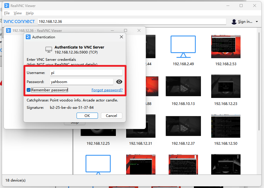 image-20260110102246894