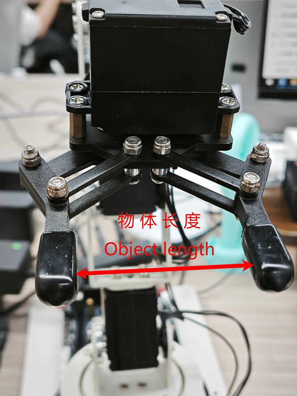 MVIMG_20250611_141934